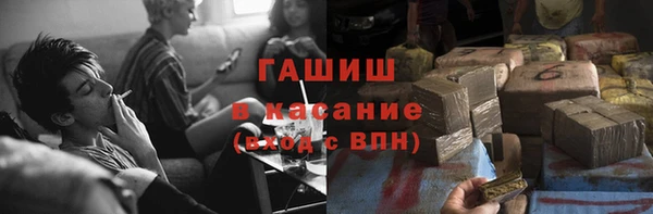 прущие грибы Алзамай
