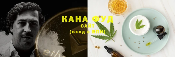 прущие грибы Алзамай